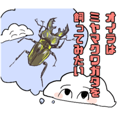 chihiro_20210522081219