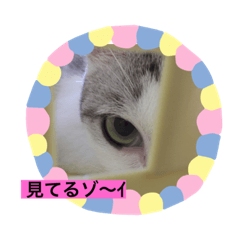 miko_20210521200255