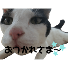 Udonoko_20210521202708