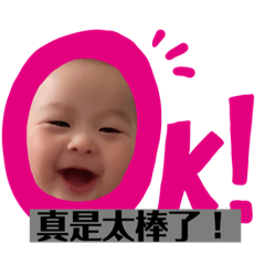 小魚排的日常1