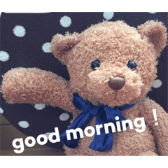 with bear