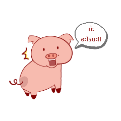 Cute fat pig pig