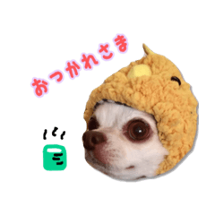 umichanstamp