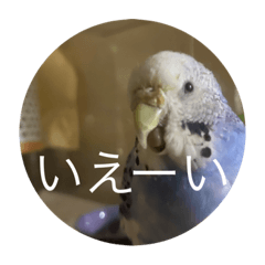 Emily_20210522120358