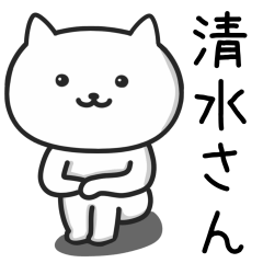 Cat For SHIMIZU