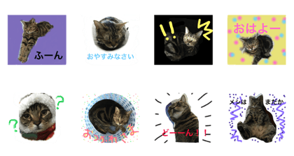 Mitsuko