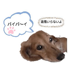 omochi_20210522133804