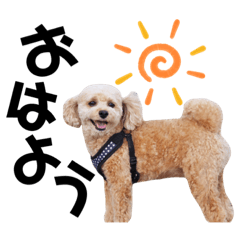 Himawari_20210522021425