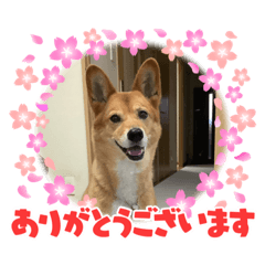 JUNKO_20210522012909