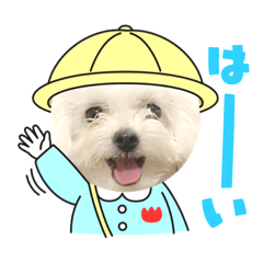 Suzu_20210522014150