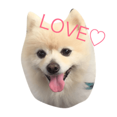moko_