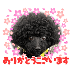 AKIKO_20210522163212