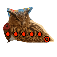 Owlmaniac