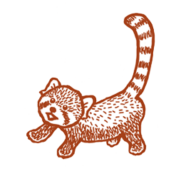 redpanda sticker mede by zoo keeper