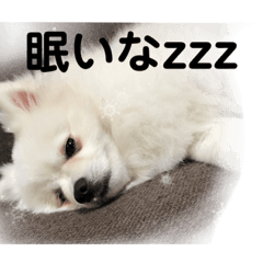 unicorn_20210522173747