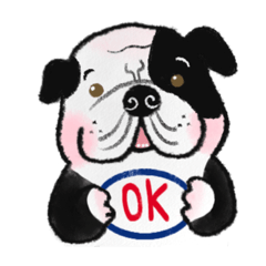 Yong-pal the chubby dog