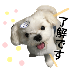 MIZUKI_20210522125112