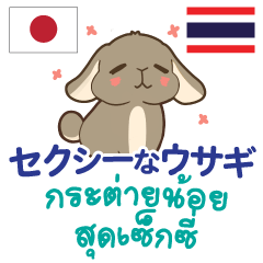 กระต่ายน้อยสุดเซ็กซี่ ภาษาไทย-ญี่ปุ่น