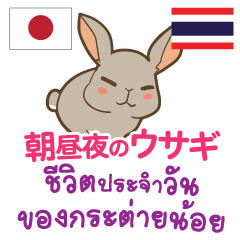 ชีวิตประจำวันของกระต่ายน้อยไทย-ญี่ปุ่น