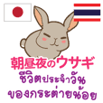 ชีวิตประจำวันของกระต่ายน้อยไทย-ญี่ปุ่น