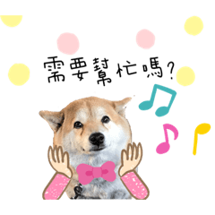 玄咪家的寶貝們