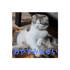 yukari_20210522194355