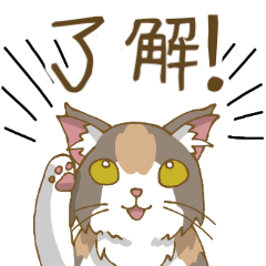 Calico Cat Sticker for family use