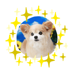 CHIHIRO_20210522145419