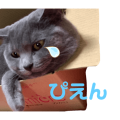 nanami_20210522202214