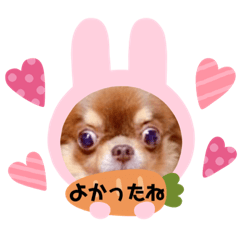 Seira_20210522213744