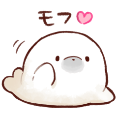 Soft and cute seal