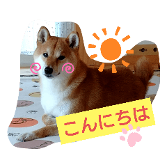 Miki_20210522224341