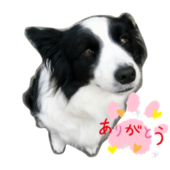 ARISA_20210523015245