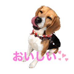 suzu_20210522162919