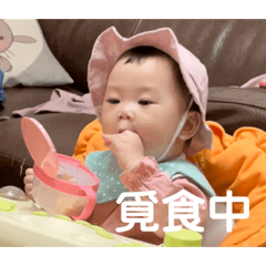 徐樂寶的戲劇日常