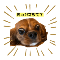 ricky_20210522183240