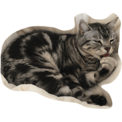 Ramuneko