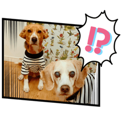 Ayumi_20210522232625