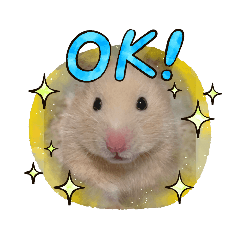 yukari_20210522213008