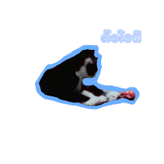 peam_20210522191322