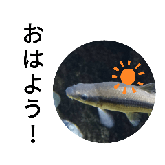 deep sea_20210522193210