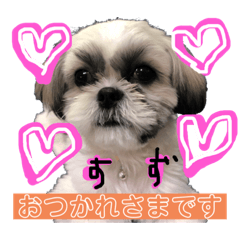 suzu_20210522222512