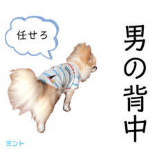 kiri05140514_20210522222811