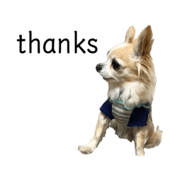 kiri05140514_20210522223630