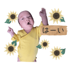 issei2__coton sticker