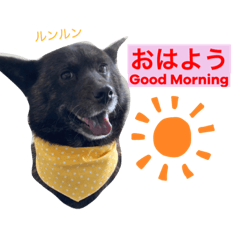 SAYA_20210521154348