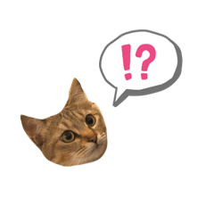 ayumi_20210523002637