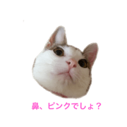 Nyaachan