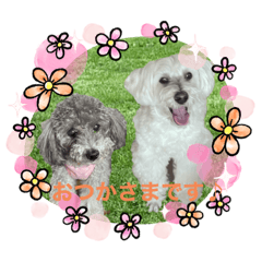 hana_20210523134630