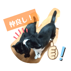 saori_20210523051231